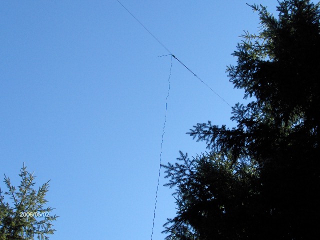 LK99 puussa (oh7jjt)