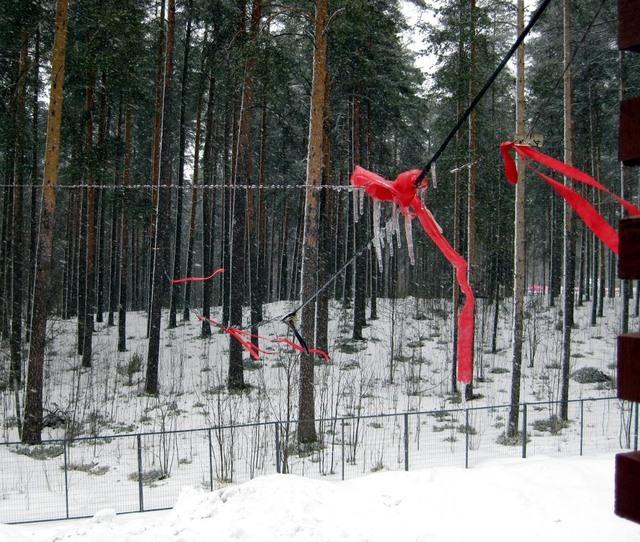 Yhteen jäätyneet antennit