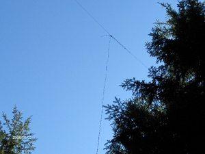 LK99 puussa (oh7jjt)