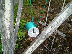 koli 1 kelakeksinto 2016-06-11 09.41.49