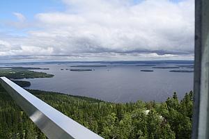 koli nakyma mastosta3