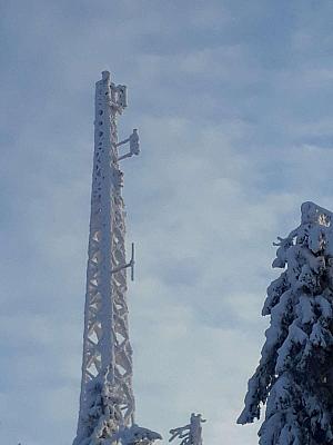 koli 20190119 131001